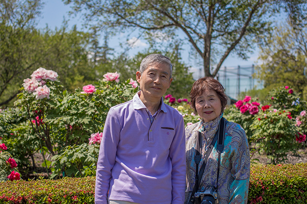 東松山ぼたん園 ボタン