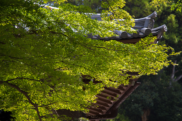 北鎌倉 円覚寺