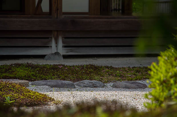 浄妙寺 日本庭園の苔