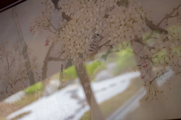 浄妙寺 桜の絵