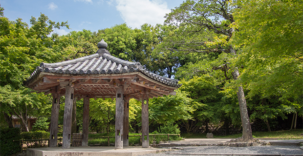 宇治平等院鳳凰堂 休憩所