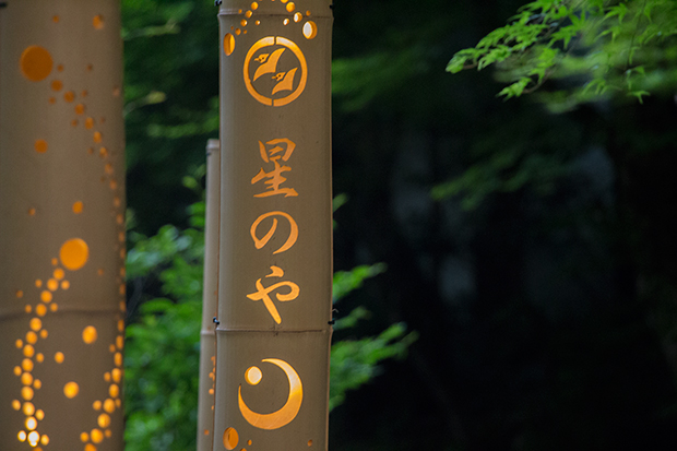 星のや 京都 日本庭園の竹